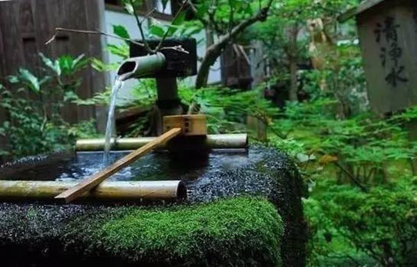 Chōzubachi is for clean up yourself