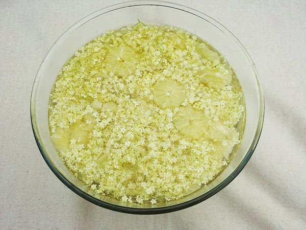 Elderflower tea with some lemon is good for cold
