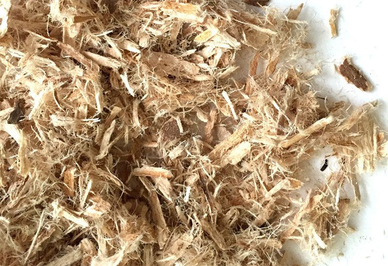 Slippery Elm Bark