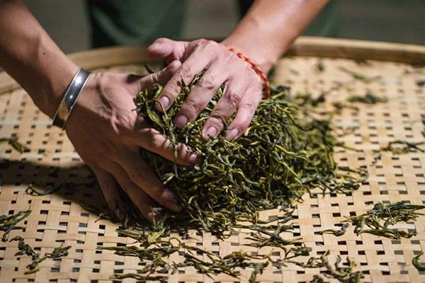 Rolling is for shaping the leaves