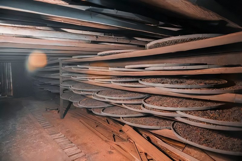 Smoked work doing at the withering shelf