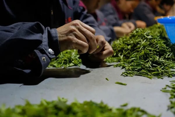 Leaves should be screening first, and it cost a lot of time