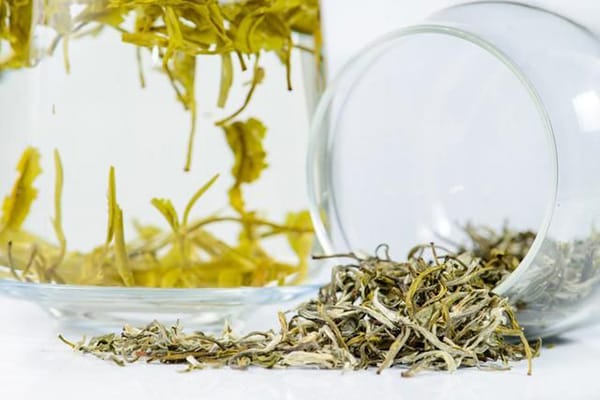 Every bud of Huangshan Maofeng tea has a yellow leaf beside