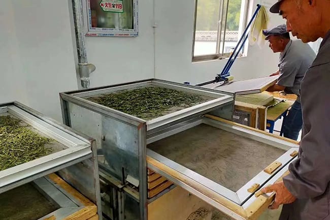 Roasting the leaves times until dry enough