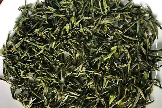 Orchid Type Anji Bai Cha