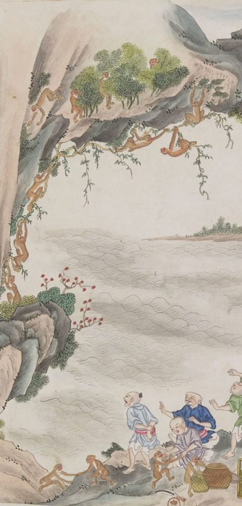 People imagine monkeys picking tea leaves